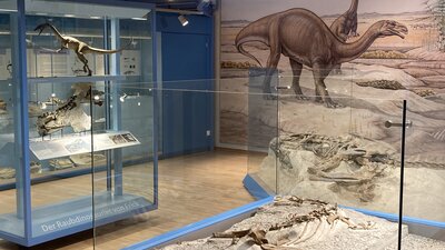 Sauriermuseum Kinder Tour bild