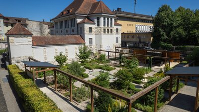 Vindonissa Museum